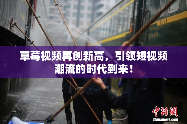 草莓视频再创新高，引领短视频潮流的时代到来！