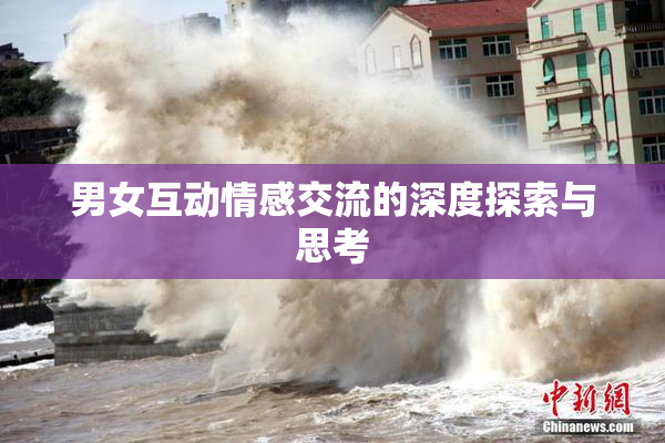男女互动情感交流的深度探索与思考