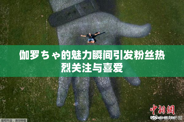 伽罗ちゃ的魅力瞬间引发粉丝热烈关注与喜爱