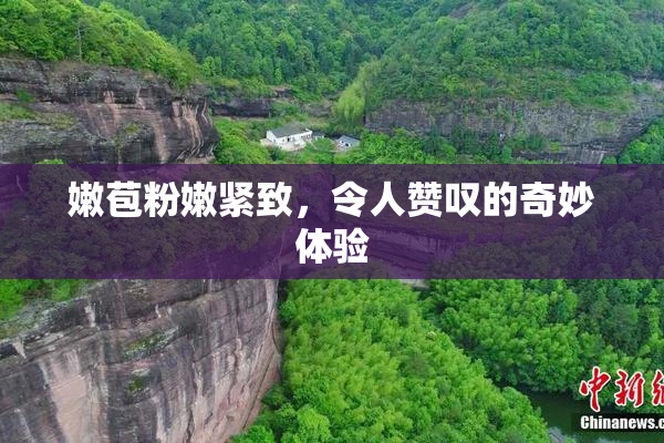 嫩苞粉嫩紧致，令人赞叹的奇妙体验