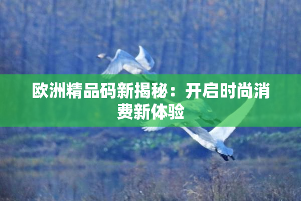 欧洲精品码新揭秘：开启时尚消费新体验