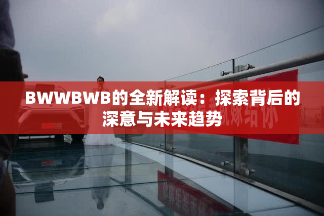BWWBWB的全新解读：探索背后的深意与未来趋势
