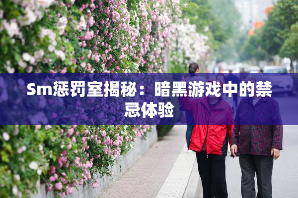 Sm惩罚室揭秘：暗黑游戏中的禁忌体验