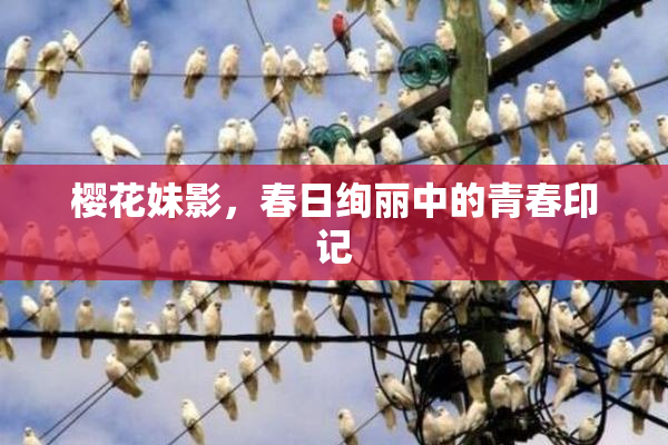 樱花妹影，春日绚丽中的青春印记
