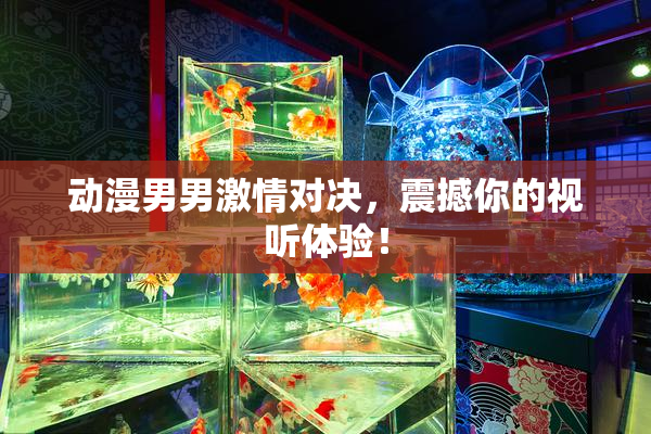 动漫男男激情对决，震撼你的视听体验！