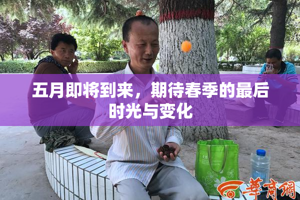 五月即将到来，期待春季的最后时光与变化