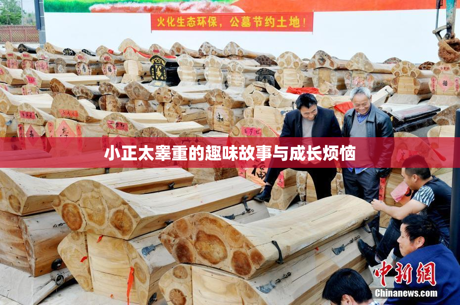小正太睾重的趣味故事与成长烦恼