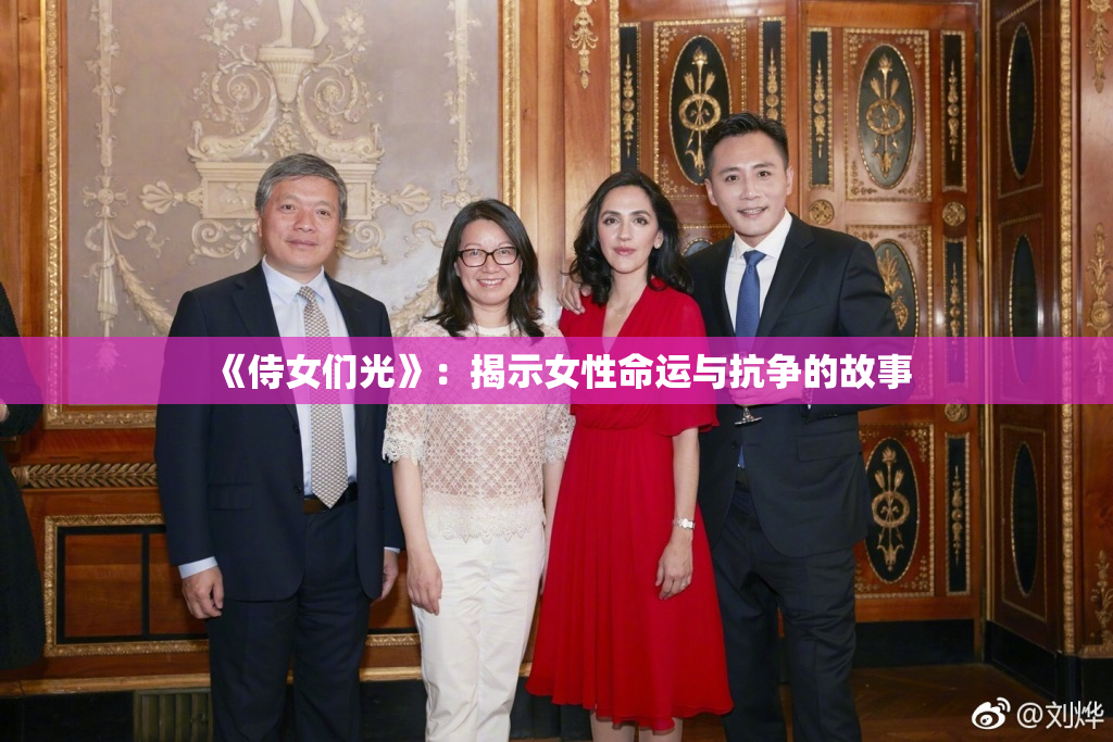 《侍女们光》：揭示女性命运与抗争的故事