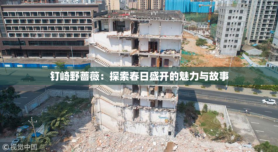 钉崎野蔷薇：探索春日盛开的魅力与故事