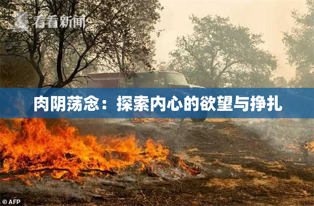肉阴荡念：探索内心的欲望与挣扎