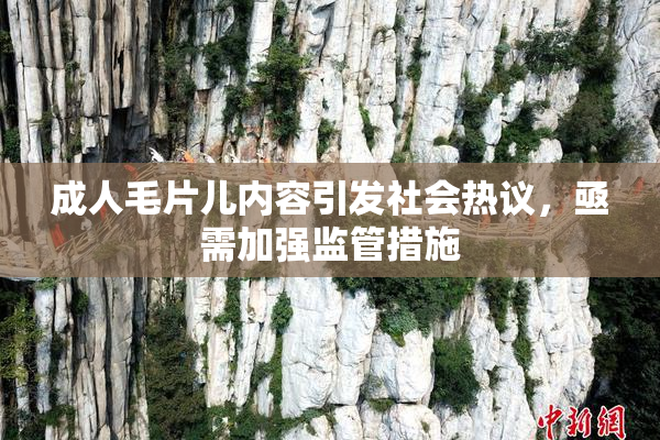 成人毛片儿内容引发社会热议，亟需加强监管措施