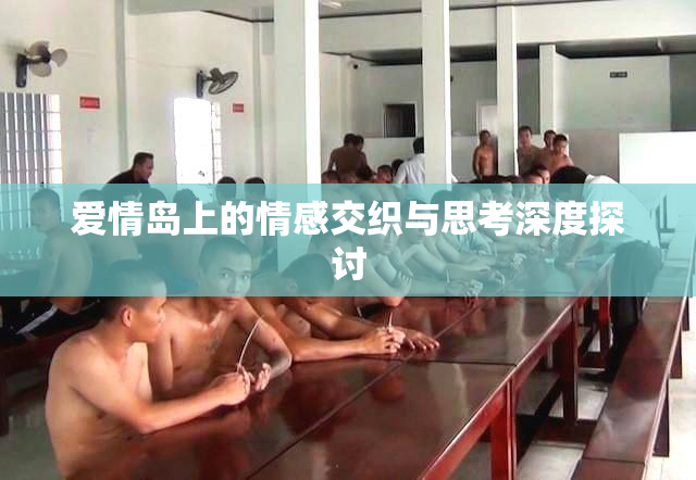 爱情岛上的情感交织与思考深度探讨
