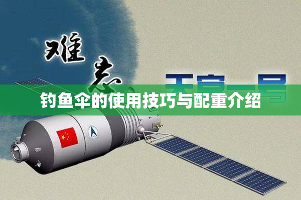 钓鱼伞的使用技巧与配重介绍