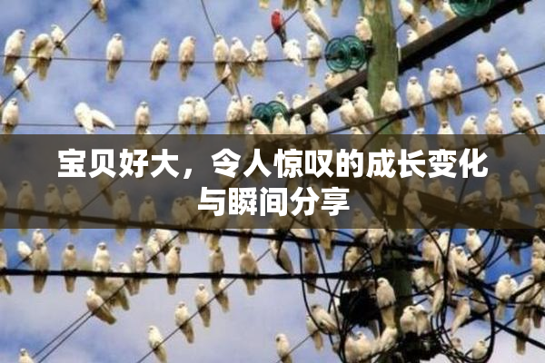 宝贝好大，令人惊叹的成长变化与瞬间分享