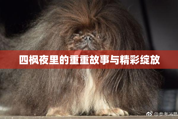 四枫夜里的重重故事与精彩绽放