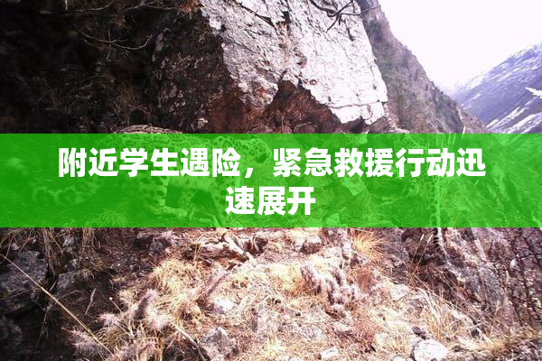 附近学生遇险，紧急救援行动迅速展开
