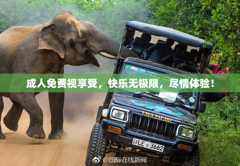 成人免费视享受，快乐无极限，尽情体验！