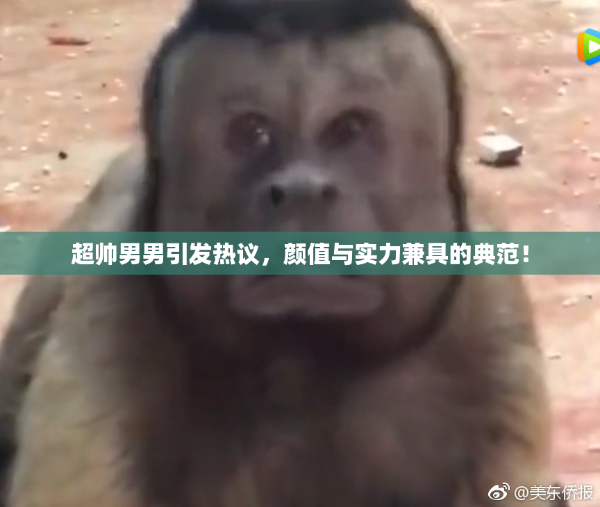 超帅男男引发热议，颜值与实力兼具的典范！
