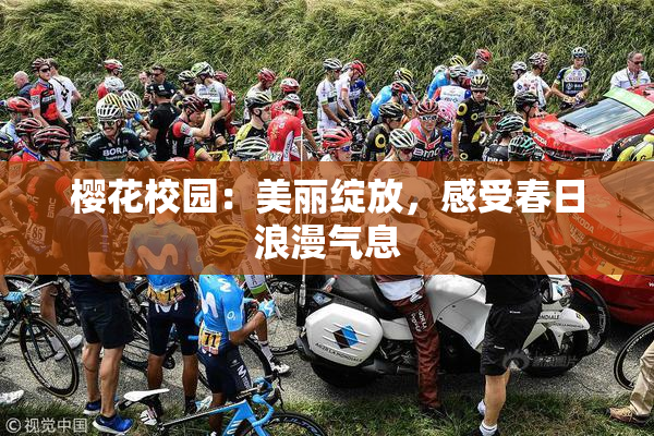 樱花校园：美丽绽放，感受春日浪漫气息