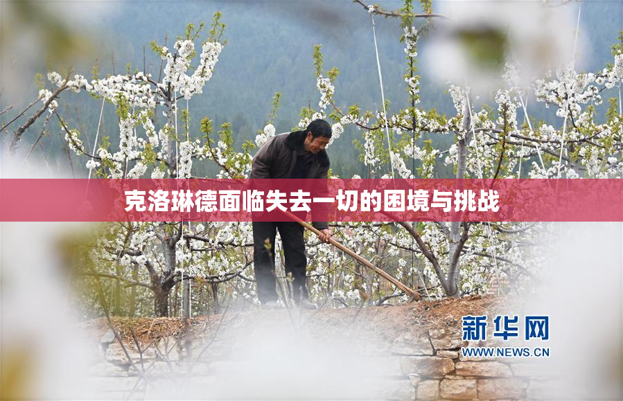 克洛琳德面临失去一切的困境与挑战