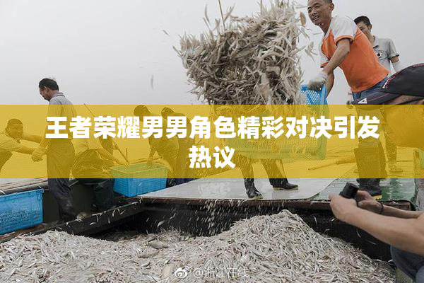 王者荣耀男男角色精彩对决引发热议