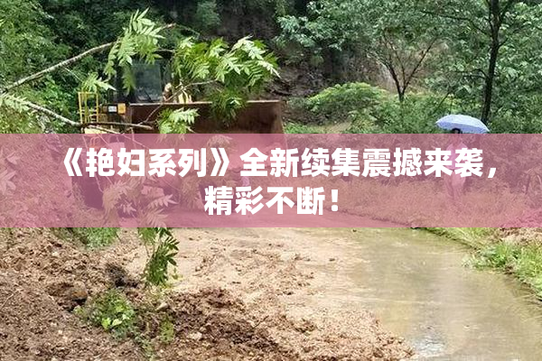 《艳妇系列》全新续集震撼来袭，精彩不断！