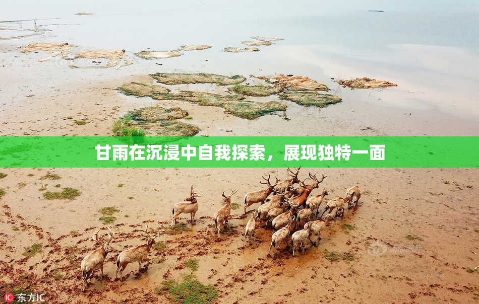 甘雨在沉浸中自我探索，展现独特一面