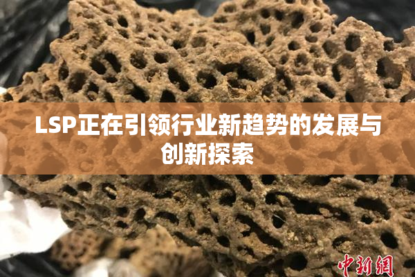 LSP正在引领行业新趋势的发展与创新探索