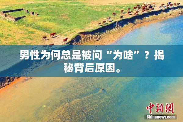 男性为何总是被问“为啥”？揭秘背后原因。
