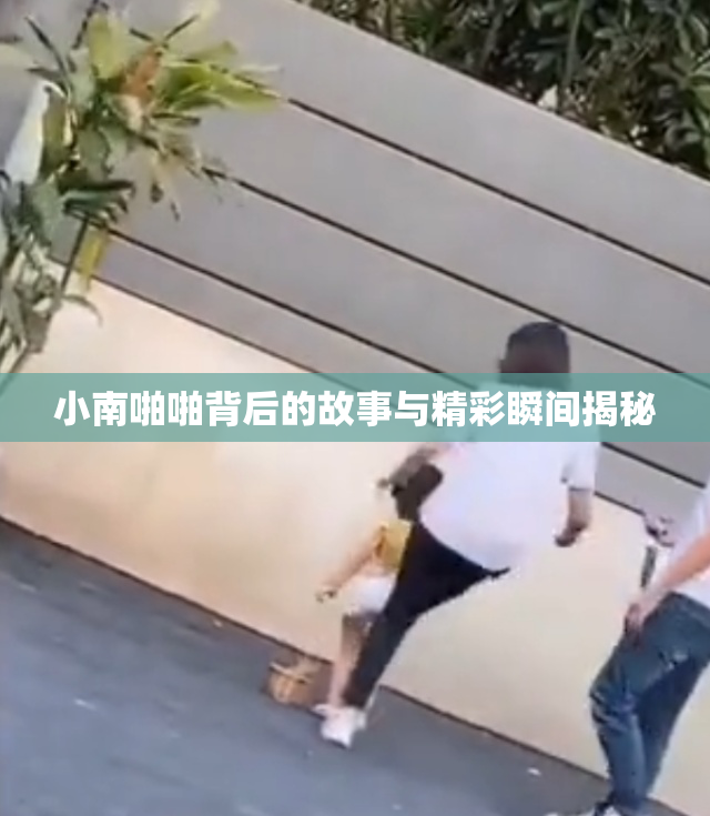 小南啪啪背后的故事与精彩瞬间揭秘