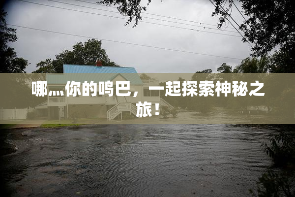 哪灬你的鸣巴，一起探索神秘之旅！