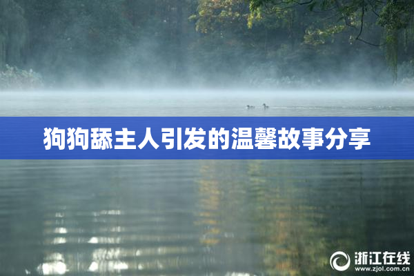 狗狗舔主人引发的温馨故事分享