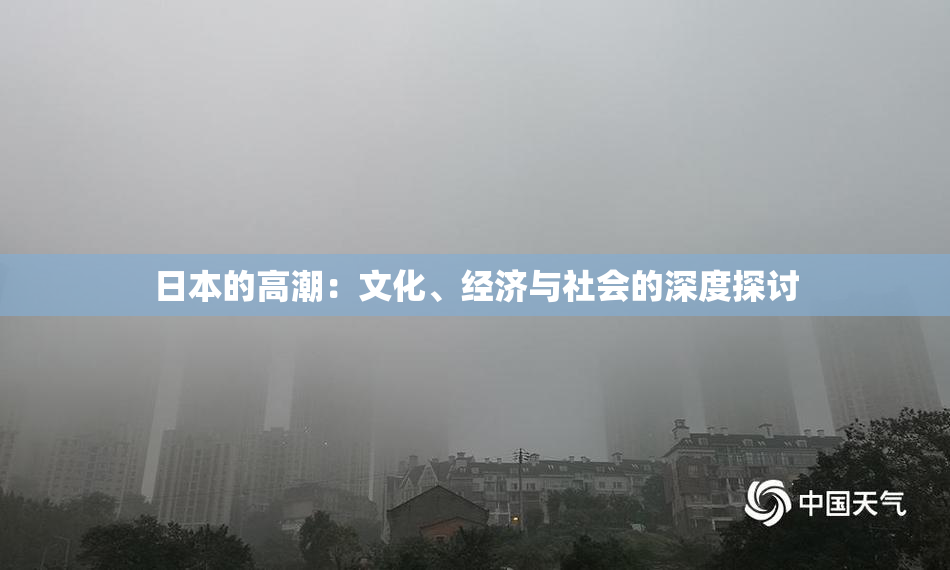 日本的高潮：文化、经济与社会的深度探讨