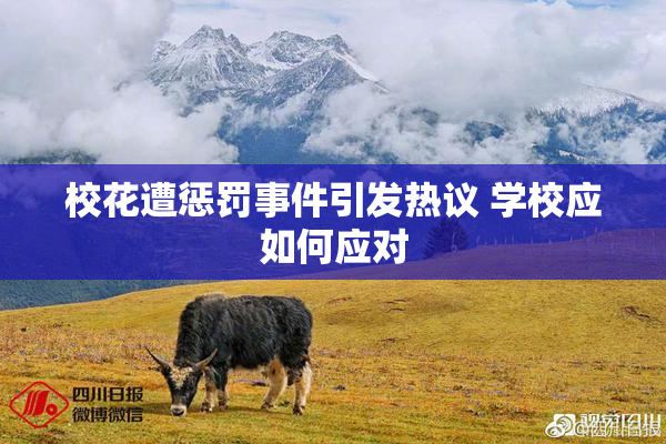 校花遭惩罚事件引发热议 学校应如何应对