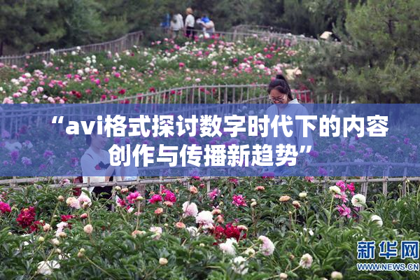 “avi格式探讨数字时代下的内容创作与传播新趋势”