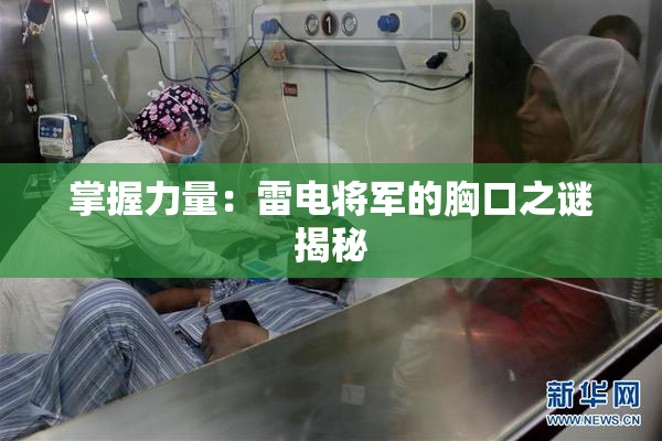 掌握力量：雷电将军的胸口之谜揭秘