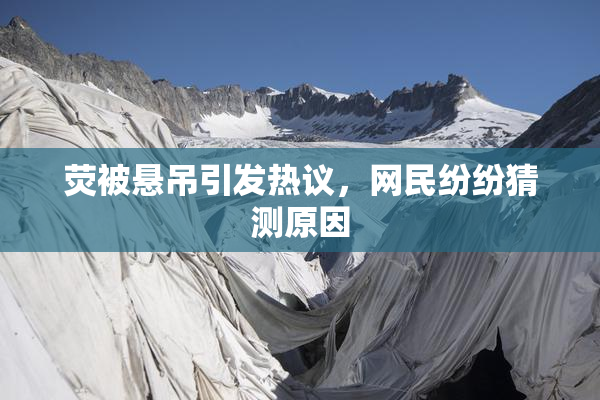 荧被悬吊引发热议，网民纷纷猜测原因