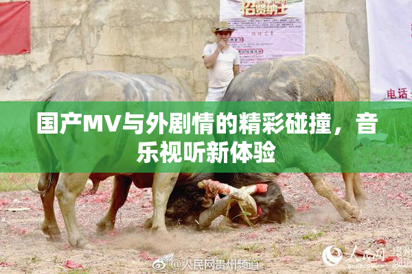 国产MV与外剧情的精彩碰撞，音乐视听新体验