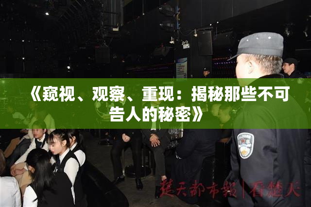 《窥视、观察、重现：揭秘那些不可告人的秘密》