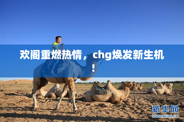 欢阁重燃热情，chg焕发新生机！