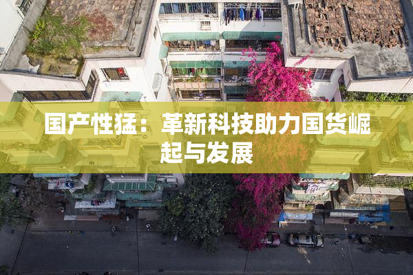 国产性猛：革新科技助力国货崛起与发展