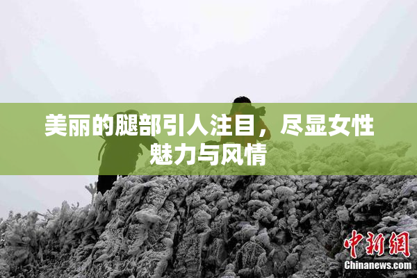 美丽的腿部引人注目，尽显女性魅力与风情