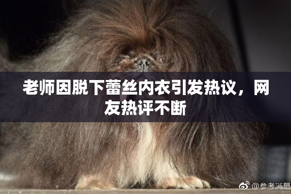 老师因脱下蕾丝内衣引发热议，网友热评不断