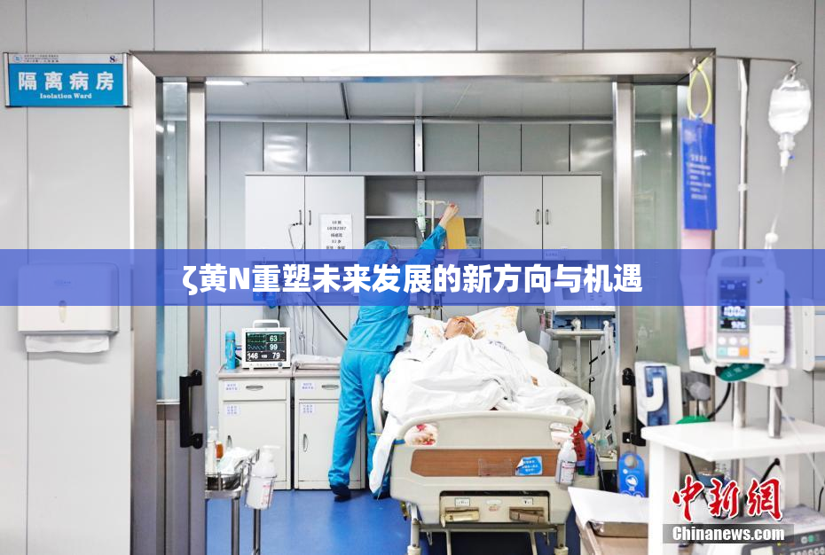 ζ黄Ν重塑未来发展的新方向与机遇