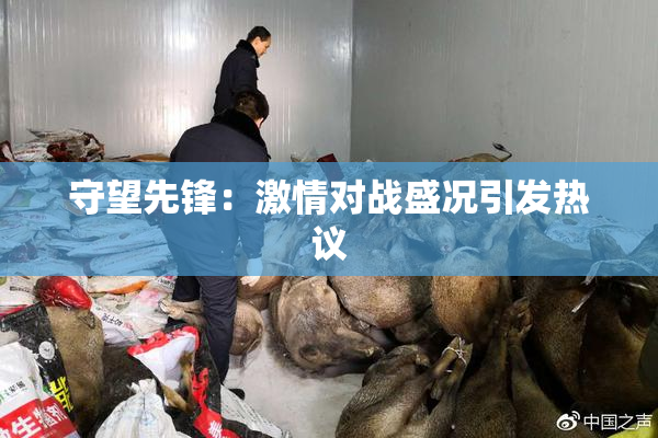 守望先锋：激情对战盛况引发热议