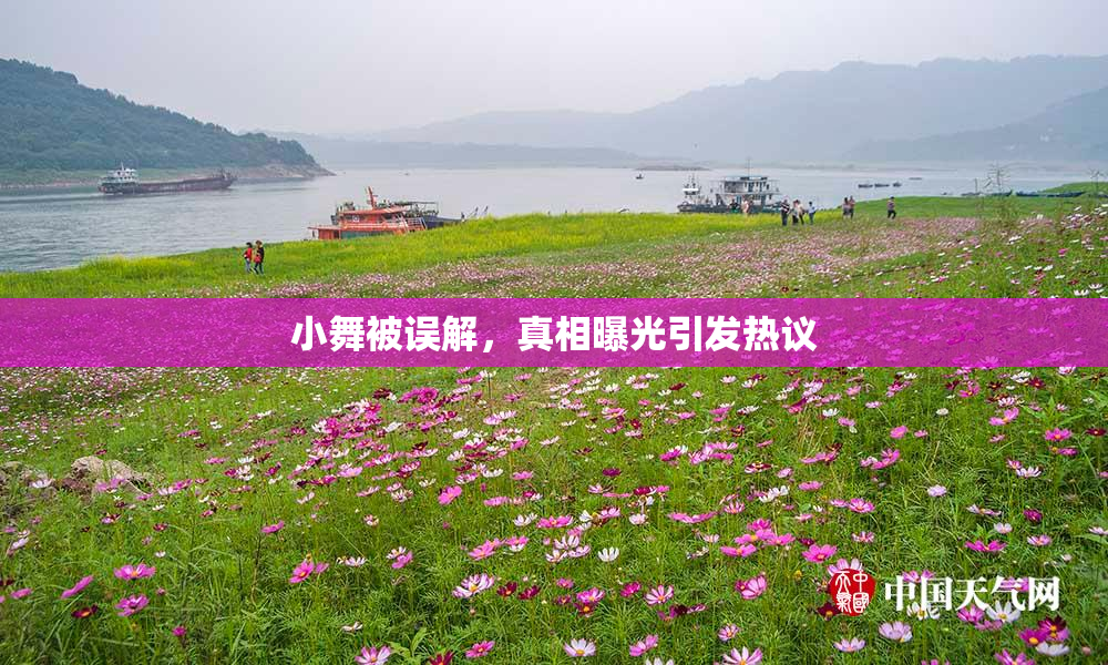 小舞被误解，真相曝光引发热议
