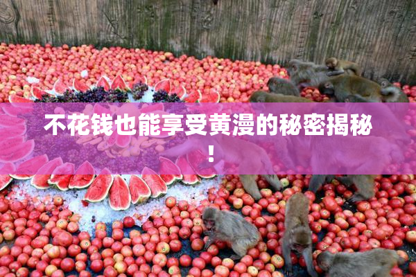 不花钱也能享受黄漫的秘密揭秘！