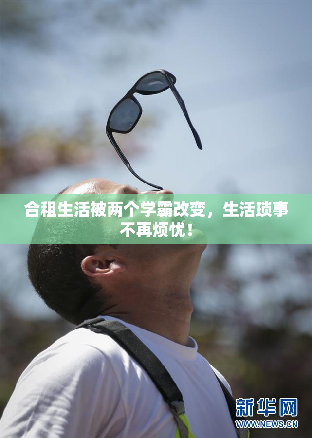 合租生活被两个学霸改变，生活琐事不再烦忧！
