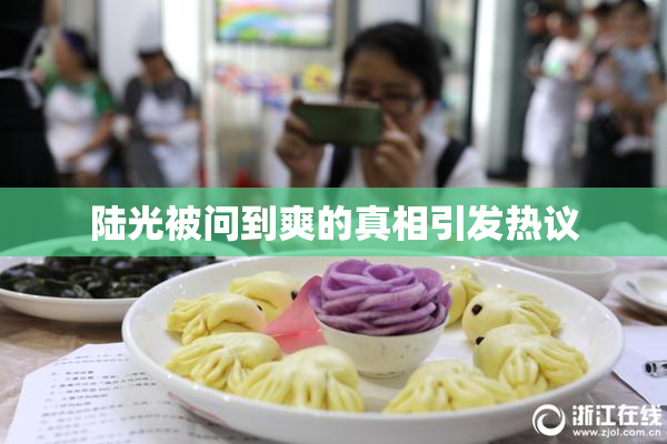 陆光被问到爽的真相引发热议