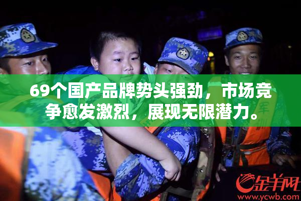 69个国产品牌势头强劲，市场竞争愈发激烈，展现无限潜力。